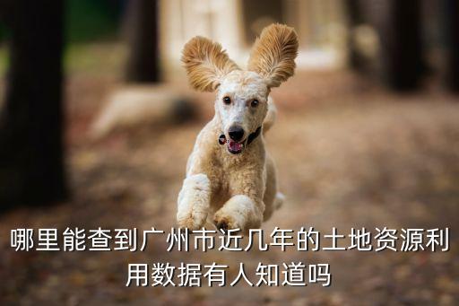 哪里能查到廣州市近幾年的土地資源利用數(shù)據(jù)有人知道嗎