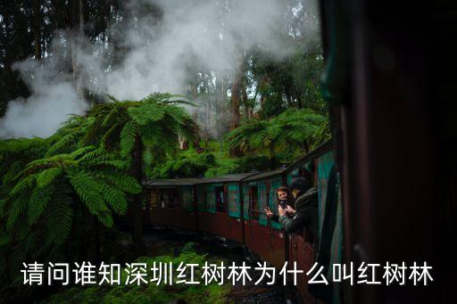 紅樹林為什么叫紅樹林，請問誰知深圳紅樹林為什么叫紅樹林