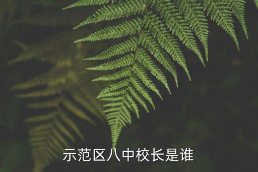 示范區八中校長是誰