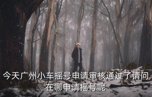 今天廣州小車搖號申請審核通過了請問在哪申請搖號呢