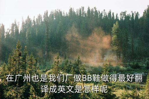 廣州中泰鞋業(yè)譯成英文，Guangzhou Fubon Goods Racks CoLtd 中文是什么意思