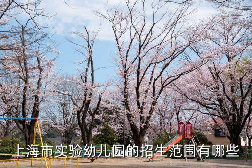 上海市浦口區(qū)實(shí)驗(yàn)幼兒園，浦口區(qū)有哪些比較好的幼兒園啊