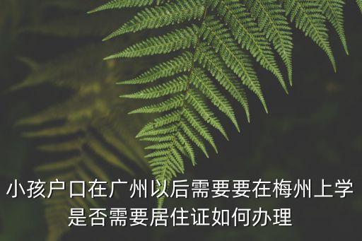 廣州轉梅州讀書，請問在廣州怎樣到梅州的嘉應學院火車汽車都告訴我最好是嘉應