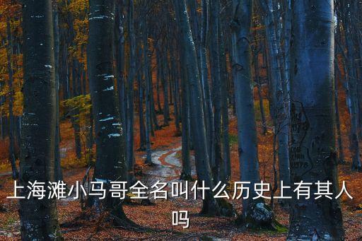 上海市小馬哥視頻，強烈求小馬哥的真三解說視頻1
