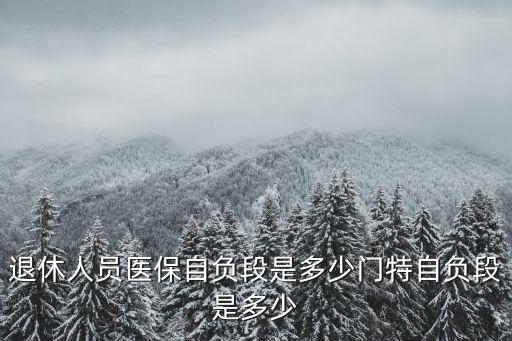 退休人員醫保自負段是多少門特自負段是多少