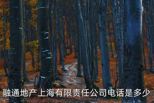 上海市融通集團，上海寶山區(qū)友誼路1135號是什么公司