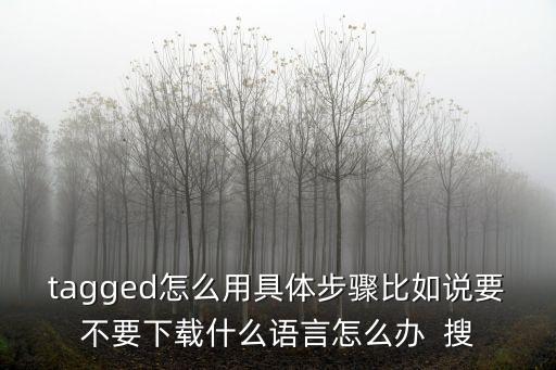 tagged怎么用具體步驟比如說要不要下載什么語言怎么辦  搜