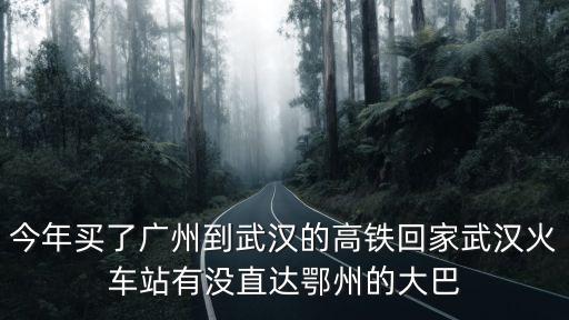 廣州到鄂州的長途客運車，請問在廣州的白云區(qū)該在那里坐汽車到湖北鄂州呀