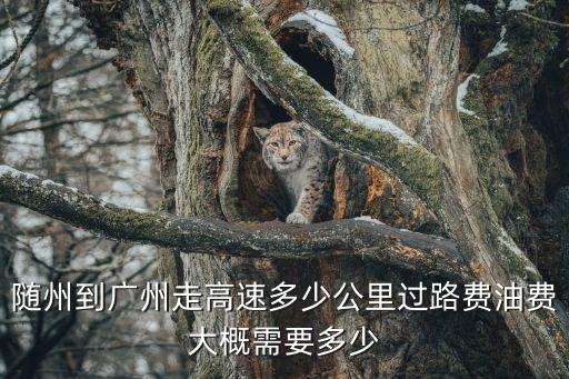 從隨州到廣州全程有多少公里，隨州到廣州走高速多少公里過路費油費大概需要多少