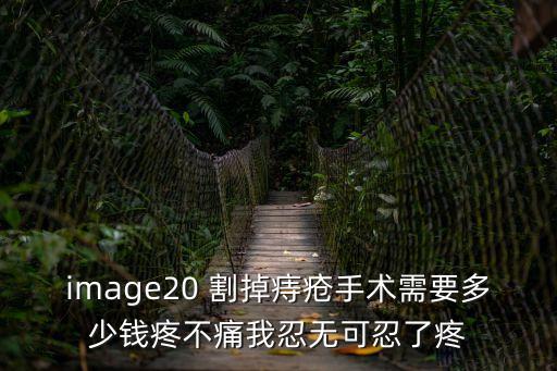 痔瘡手術圖片，image20 割掉痔瘡手術需要多少錢疼不痛我忍無可忍了疼
