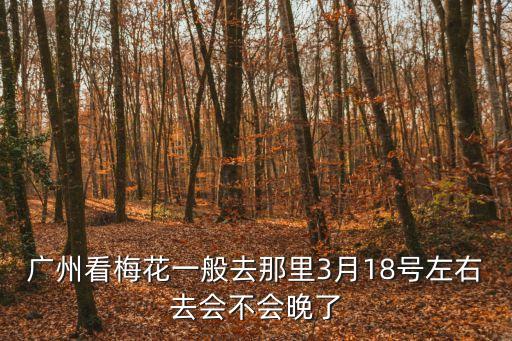 廣州看梅花一般去那里3月18號左右去會不會晚了
