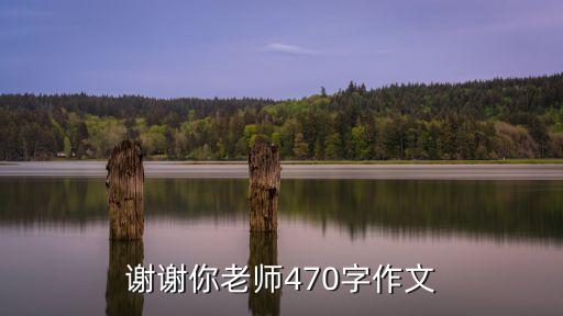 謝謝你老師470字作文