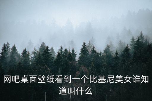 網(wǎng)吧桌面壁紙看到一個(gè)比基尼美女誰知道叫什么