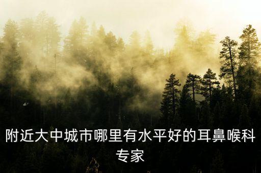附近大中城市哪里有水平好的耳鼻喉科專家