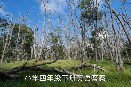 小學(xué)四年級下冊英語答案