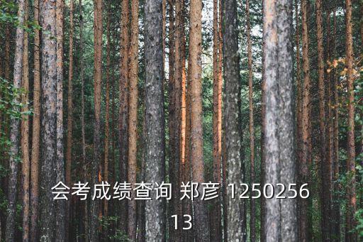 會考成績查詢 鄭彥 125025613