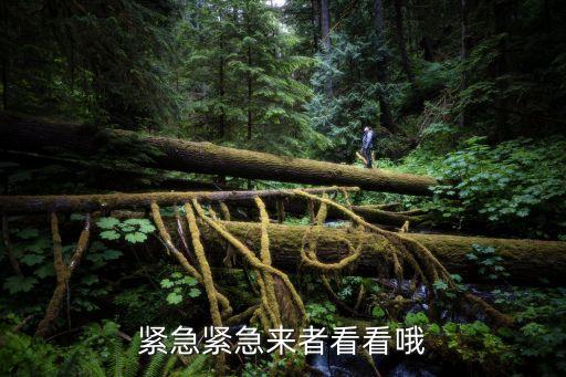 緊急緊急來者看看哦