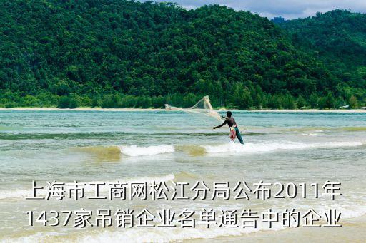 上海市工商網(wǎng)松江分局公布2011年1437家吊銷企業(yè)名單通告中的企業(yè)