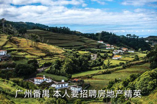 廣州番禺 本人要招聘房地產精英