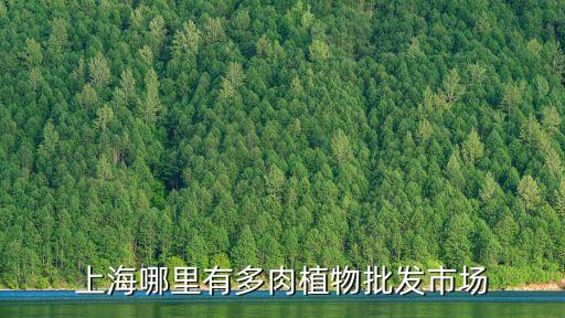 上海哪里有多肉植物批發市場