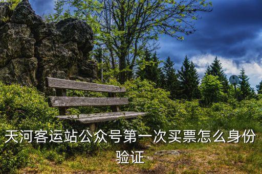 天河客運站公眾號第一次買票怎么身份驗證