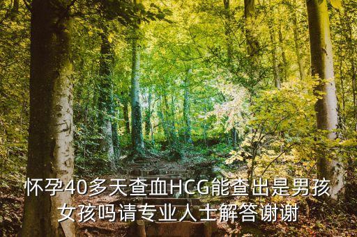 廣州驗(yàn)血懷孕40天驗(yàn)?zāi)信瑧言?0多天查血HCG能查出是男孩女孩嗎請(qǐng)專(zhuān)業(yè)人士解答謝謝