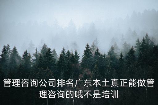 管理咨詢公司排名廣東本土真正能做管理咨詢的哦不是培訓