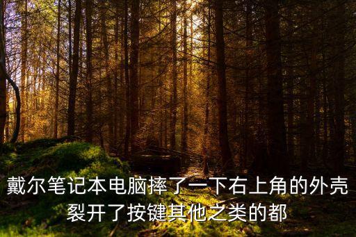 戴爾筆記本電腦摔了一下右上角的外殼裂開了按鍵其他之類的都