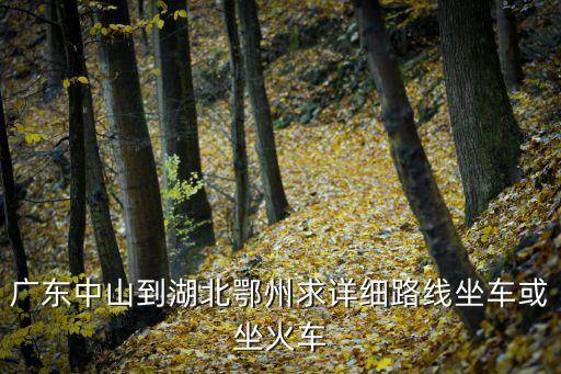 廣州有汽車回鄂州嗎，請問在廣州的白云區(qū)該在那里坐汽車到湖北鄂州呀