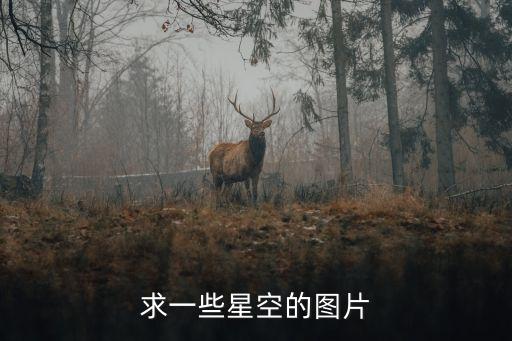 星空的圖片，幫忙找一些星空圖片