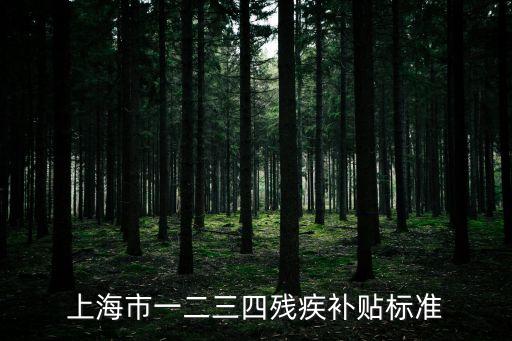 上海市一二三四殘疾補貼標準