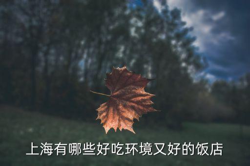 上海市哪里有氛圍好的餐廳，上海有哪些好吃環(huán)境又好的飯店