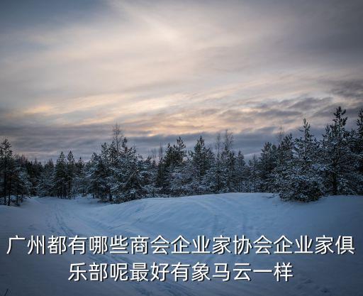 廣州都有哪些商會企業家協會企業家俱樂部呢最好有象馬云一樣