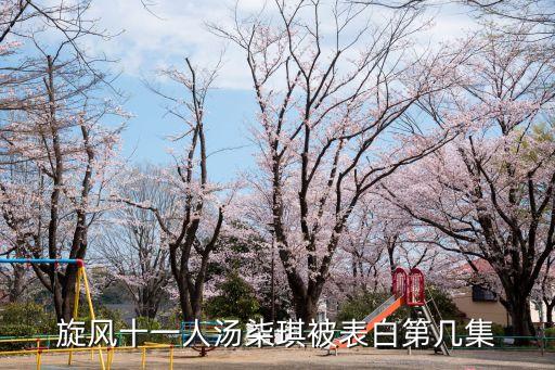 湯柒琪，旋風十一人湯柒琪懷孕真的假的