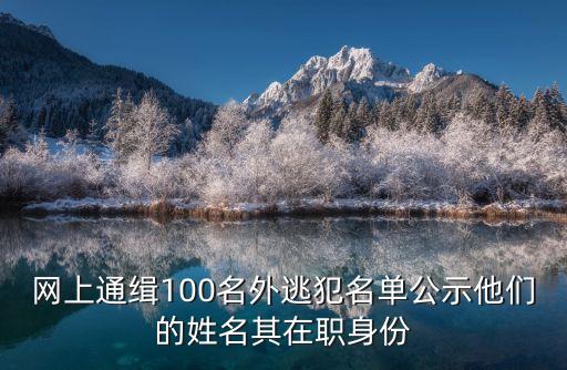 紅色通緝百人上海市人名單，網(wǎng)上通緝100名外逃犯名單公示他們的姓名其在職身份