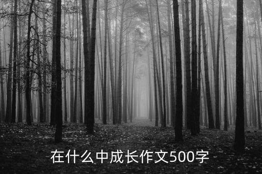 我在什么中成長作文600字，在什么中成長作文500字
