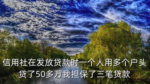 信用社在發放貸款時一個人用多個戶頭貸了50多萬我擔保了三筆貸款