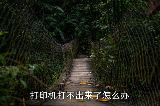 打印機(jī)打不出來了怎么辦