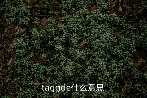 taggde什么意思