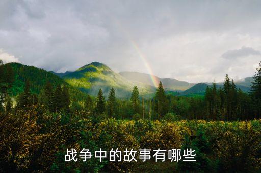 戰中，在2戰中有多少國家暗地里支持德國