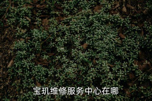 寶璣廣州修理店，B swiss 中國廣東廣州或者佛山哪里有無保修店啊