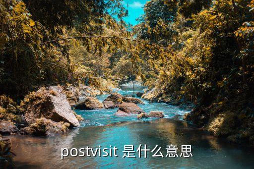 postvisit 是什么意思