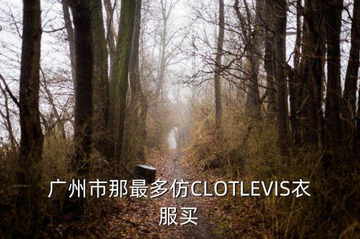 廣州高仿阿迪耐克短袖，廣州市那最多仿CLOTLEVIS衣服買