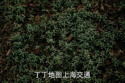 上海市共和新路619弄地圖，丁丁地圖上海交通