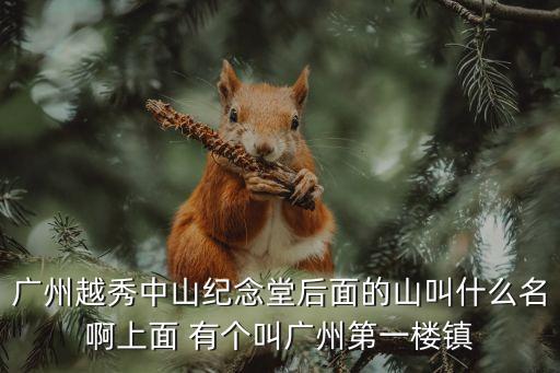 廣州越秀中山紀念堂后面的山叫什么名啊上面 有個叫廣州第一樓鎮