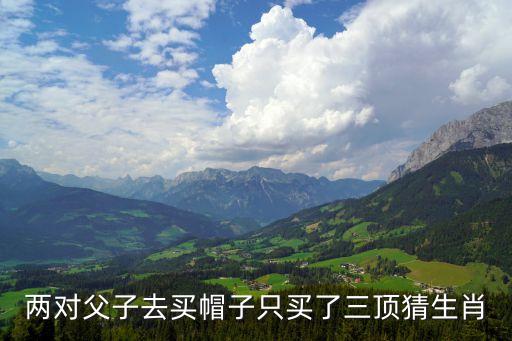 兩對父子，腦筋急轉彎兩對父子去買帽子為什么只買了三頂是祖孫三人