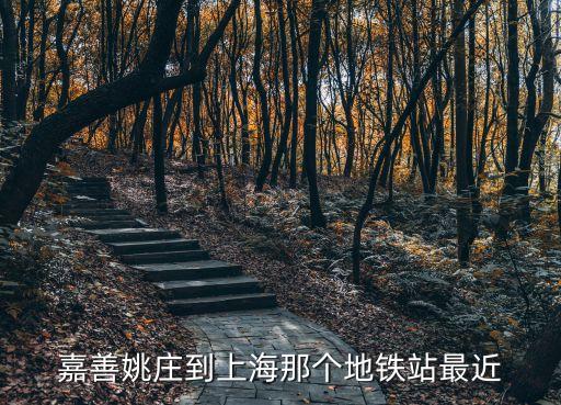 嘉善姚莊到上海市中心多遠，浙江姚莊離上海浦東有多遠
