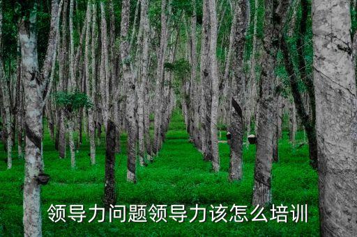 領導力培訓，什么是領導力培訓