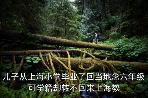 上海市教育局班主任，精銳的老師怎么樣上海的教育機構老師那個比較好