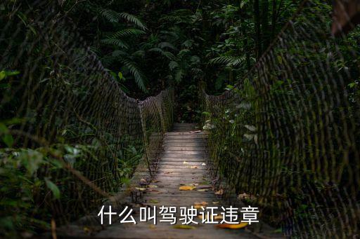什么叫駕駛證違章